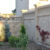 BernStone - Бернстон - Бернстоун - Купить забор Патио, бетонный блок, опорные стены, габионы, камень Киев, Украина